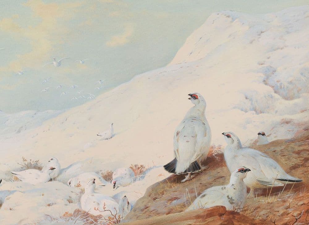 Archibald Thorburn | Scottish 1860 - 1935